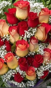 Create meme: a bouquet of roses, favorite flowers