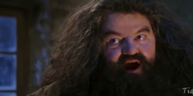 Create meme: Hagrid from Harry, rubeus hagrid, Robbie Coltrane is Hagrid
