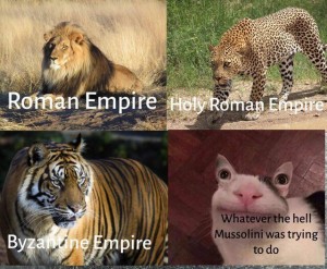 Create meme: leopard tiger lion lynx Cougar and Cheetah photos, predators of the cat family, animal