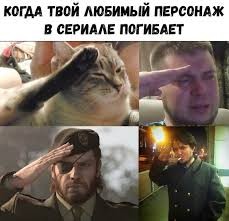 Create meme: meme all salute, cat honor meme, salute