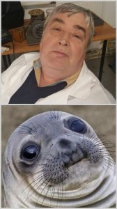 Создать мем: обыкновенный тюлень, тюлень, грустный тюлень