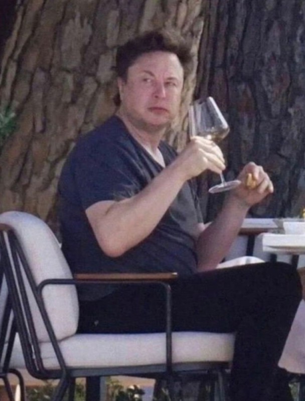 Create meme: with a glass of meme, Elon Musk with wine meme, Elon Musk's house