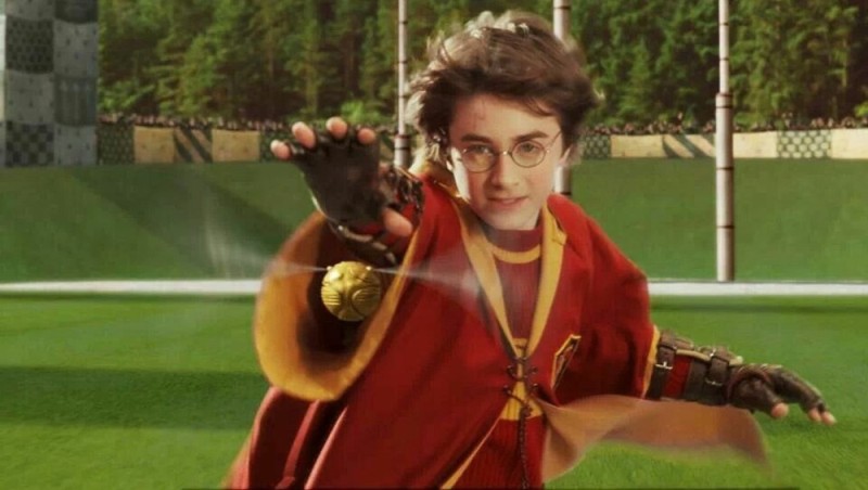 Create meme: Harry Potter , Harry Potter Quidditch, Harry Potter and the philosopher's stone 