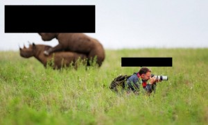 Create meme: photographer humor, animals photos, wild animals