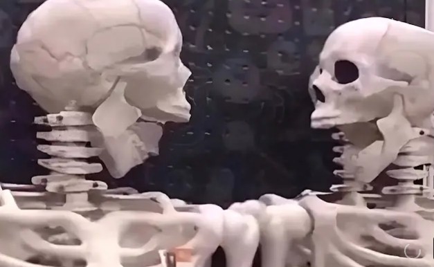 Создать мем: анатомический скелет человека, скелет человека 3 д, скелет кости