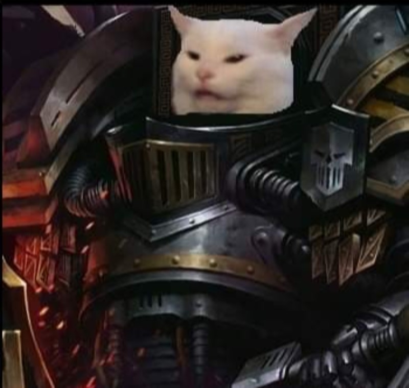 Create meme: perturabo warhammer 40,000, cat , the gift of the emperor