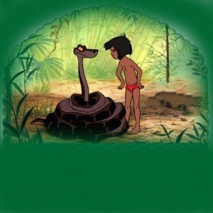 Create meme: the jungle book, the jungle book 1967, Mowgli