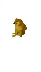 Create meme: dog, Jock the dog, doge meme