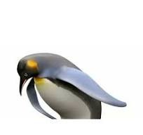 Создать мем: пингвин поклон, пингвин императорский, пингвины пингвин
