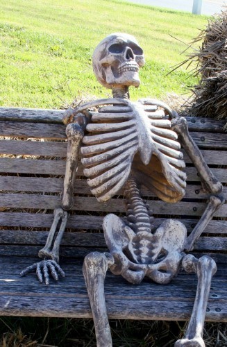 Create meme: the skeleton at the bottom of the meme, the skeleton on the bench, skeleton in waiting