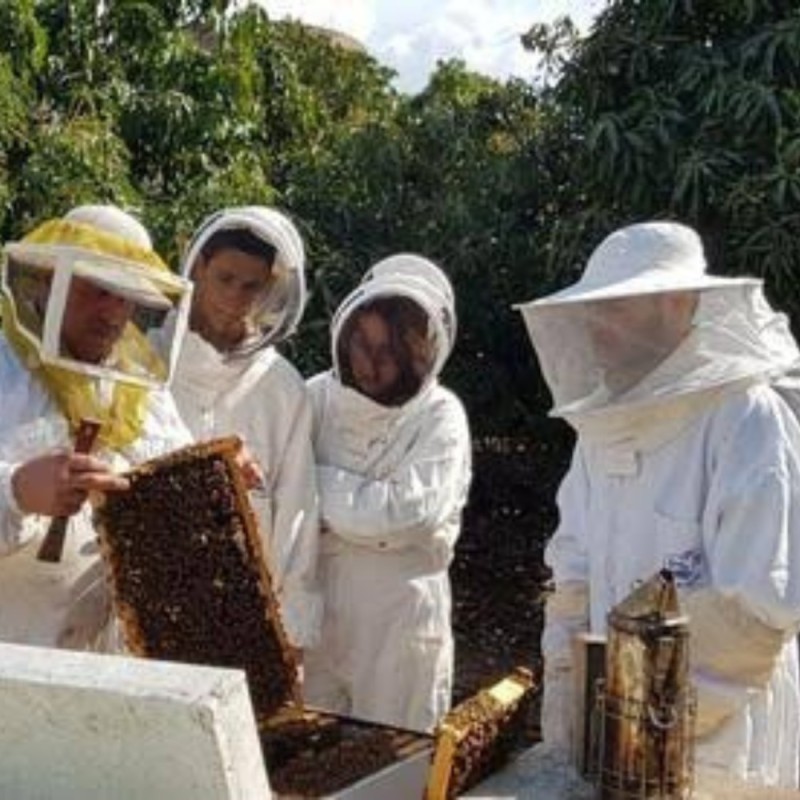 Create meme: beekeeping, beekeeper, beekeeping products