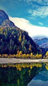 Создать мем: природа, абхазия горное озеро рица, лес горы