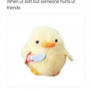 Create meme: duck with a knife meme, stuffed duck with a knife, duck with a knife