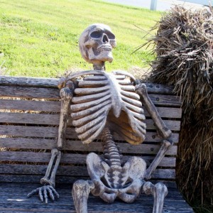 Create meme: meme skeleton, waiting skeleton