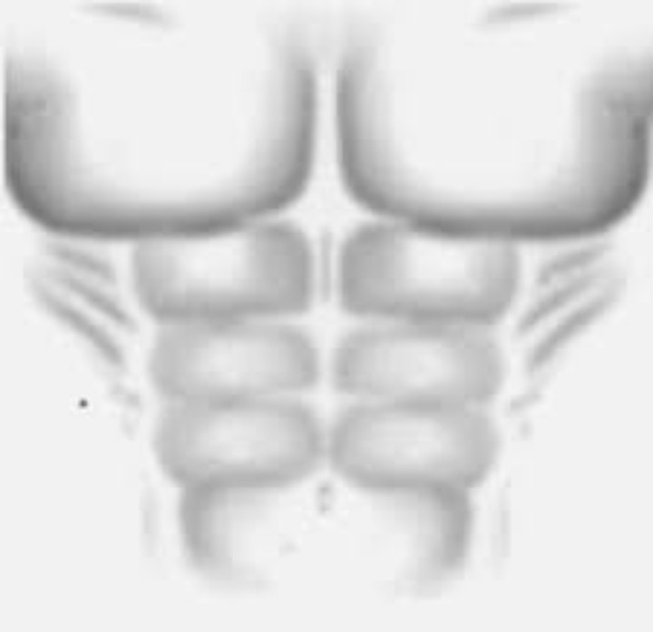 Create meme: muscles for roblox t-shirt, roblox t shirt muscles, roblox t shirt press