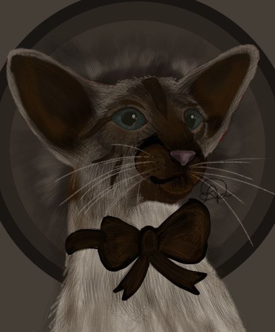 Create meme: siamese cat art, warrior cats, cat 