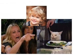 Создать мем: женщина орет на кота, мем орущая баба и кот, смешные кошки