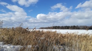 Create meme: village on the banks of the river, spring in elk island, nature of Udmurtia photos spring