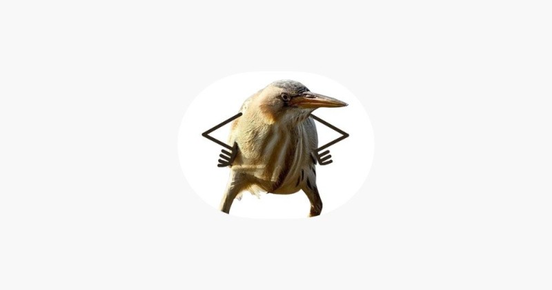 Create meme: so, blet , blat, so, blet bird