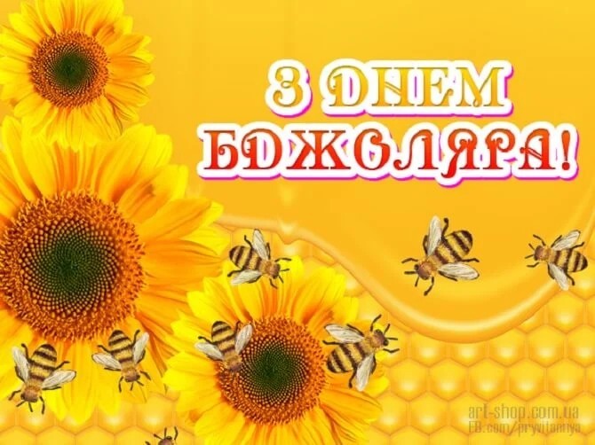 Create meme: sunflowers in the field, flowers sunflowers, beautiful sunflower