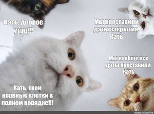 Создать мем: наташа мы все уронили, котик, мемы про котов и наташу