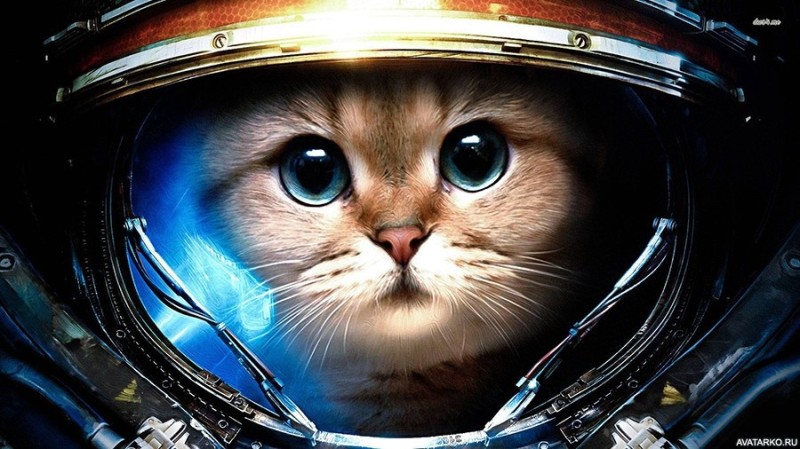 Создать мем: котик космонавт, кот в скафандре, котик в космосе