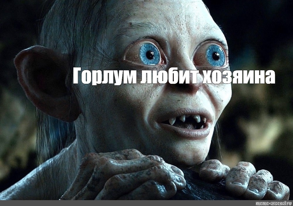 Meme: "Горлум любит хозяина" .