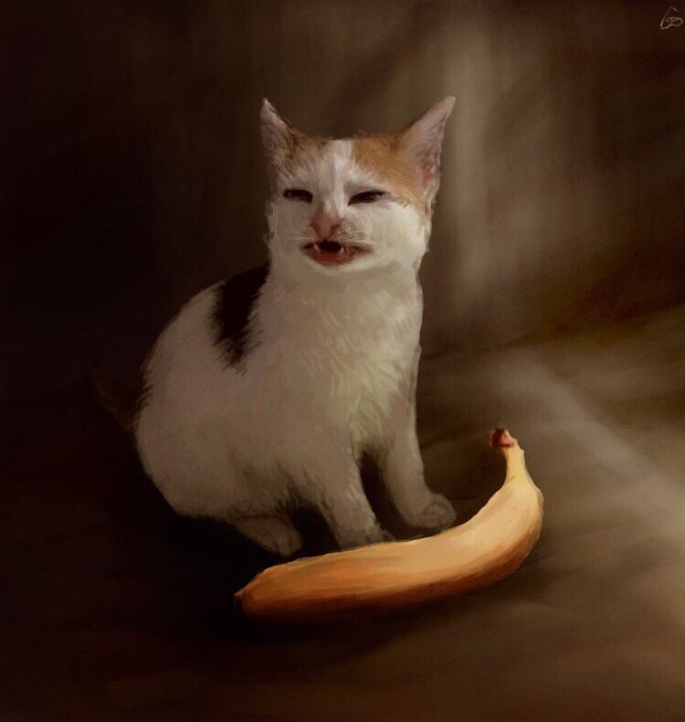 cat , the cat and the banana, Cat , cat ,the cat and the banana,Cat...