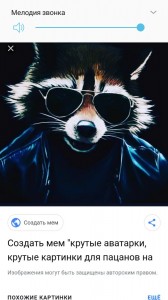 Create meme: meme cool, meme raccoon, raccoon art
