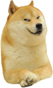 Create meme: Shiba inu doge, dog, doge