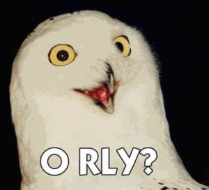 Create meme: meme, owl, o rly