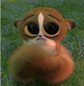 Create meme: sad eyes, mournful eyes, Madagascar pictures little lemur
