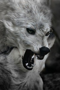 Create meme: grey wolf, bad wolf, the wolf grin