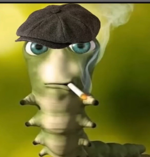 Создать мем: червяк с сигаретой, смешная гусеница, гусеница мем