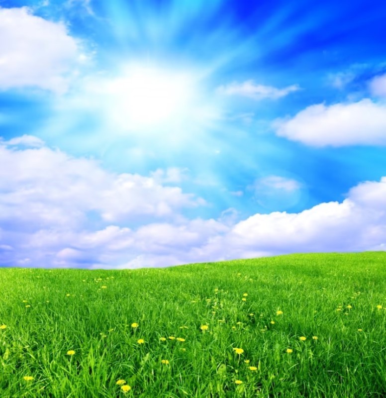 Create meme: meadow background, green field, background green meadow