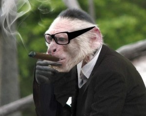 Создать мем: человек похожий на обезьяну, курящая обезьяна, обезьяна курит
