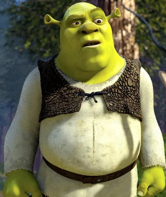 Create meme: Mike Myers Shrek, the characters of Shrek, shrek surprised