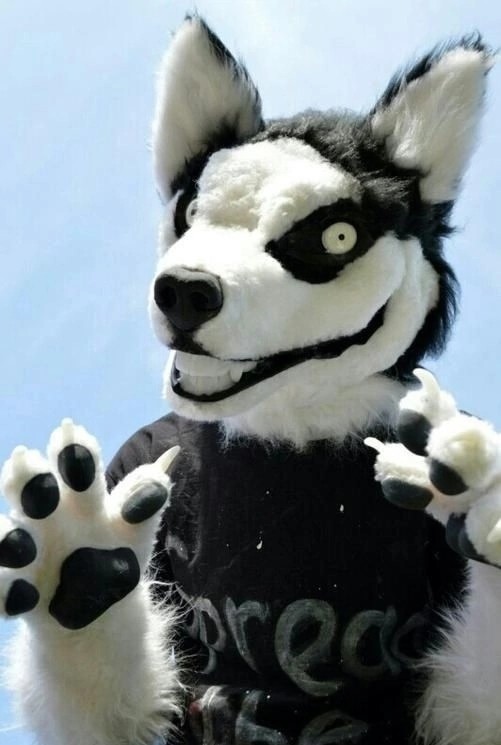 Create meme: fursuit husky, fursuit smile dog, schooldog furcuts