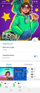 Создать мем: леон браво старс, brawl stars leon, бравл старс