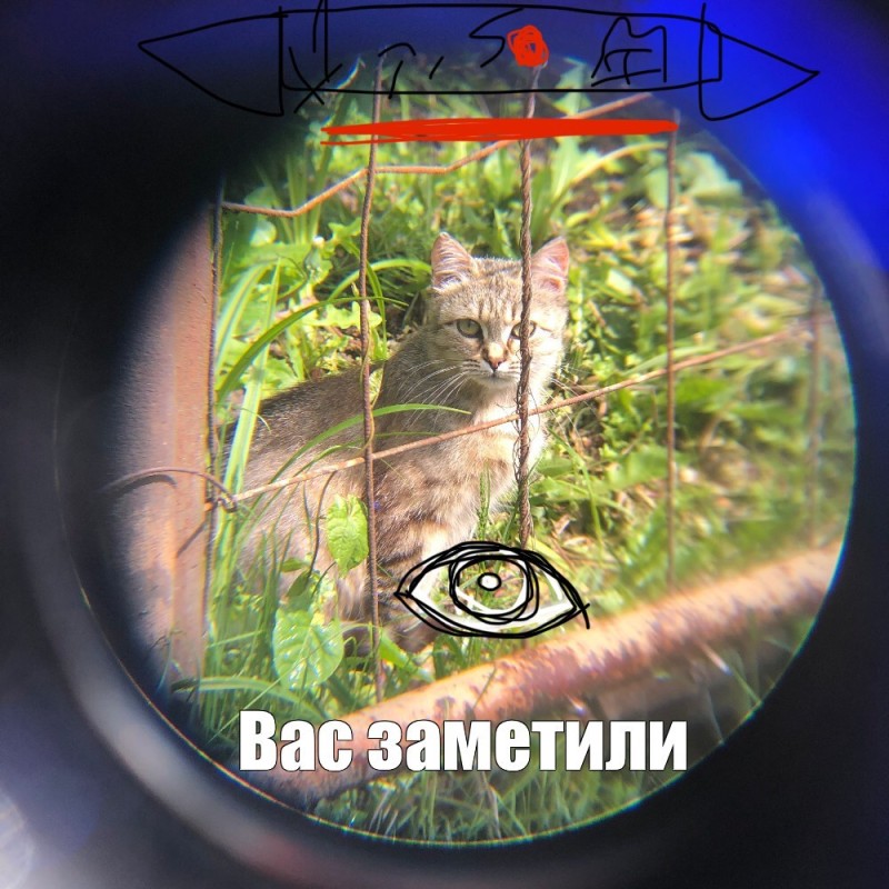 Create meme: sight , optics sight, optical sight 