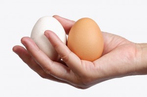 Create meme: egg in hand, photo hand holding eggs, egg