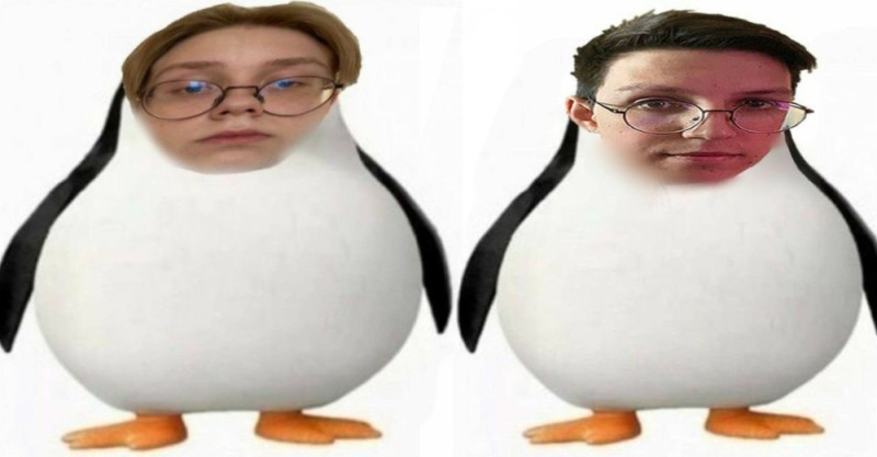 Создать мем: чугун пингвин, пингвин, соус пингвин