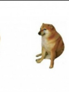 Create meme: Shiba inu meme