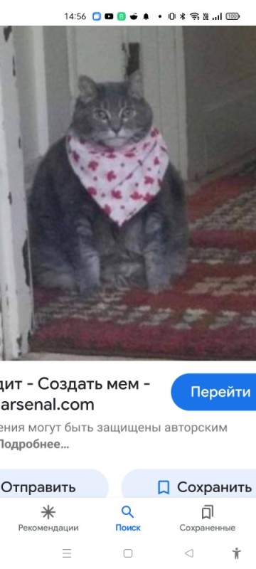 Создать мем: черешню неси кот, кот в платке, кот в фартуке мем