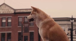 Create meme: Hachiko puppy, The Story Of Hachiko, Hachiko: the Most loyal friend