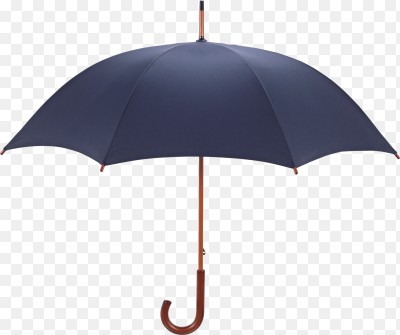 Create meme: umbrellas, umbrella , walking stick umbrella