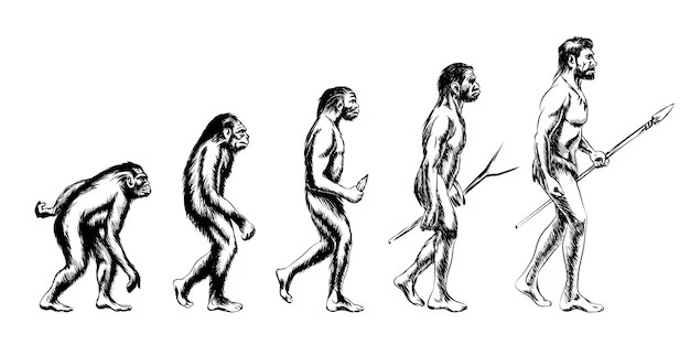 Создать мем: теория эволюции человека, этапы эволюции человека, эволюция человека от обезьяны