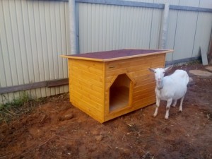 Create meme: kennels for large dogs, box for dogs with a veranda, dog house for medium dogs