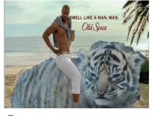 Create meme: Oldboy, unhappy fat tiger, old spice the man your man could smell like