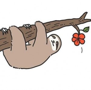 Создать мем: мультяшный ленивец висящий на ветке, ленивец висит на ветке рисунок, ленивец
